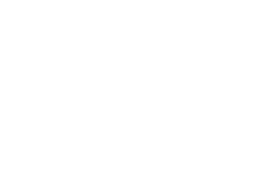Acoustics Associates Inc. banner logo