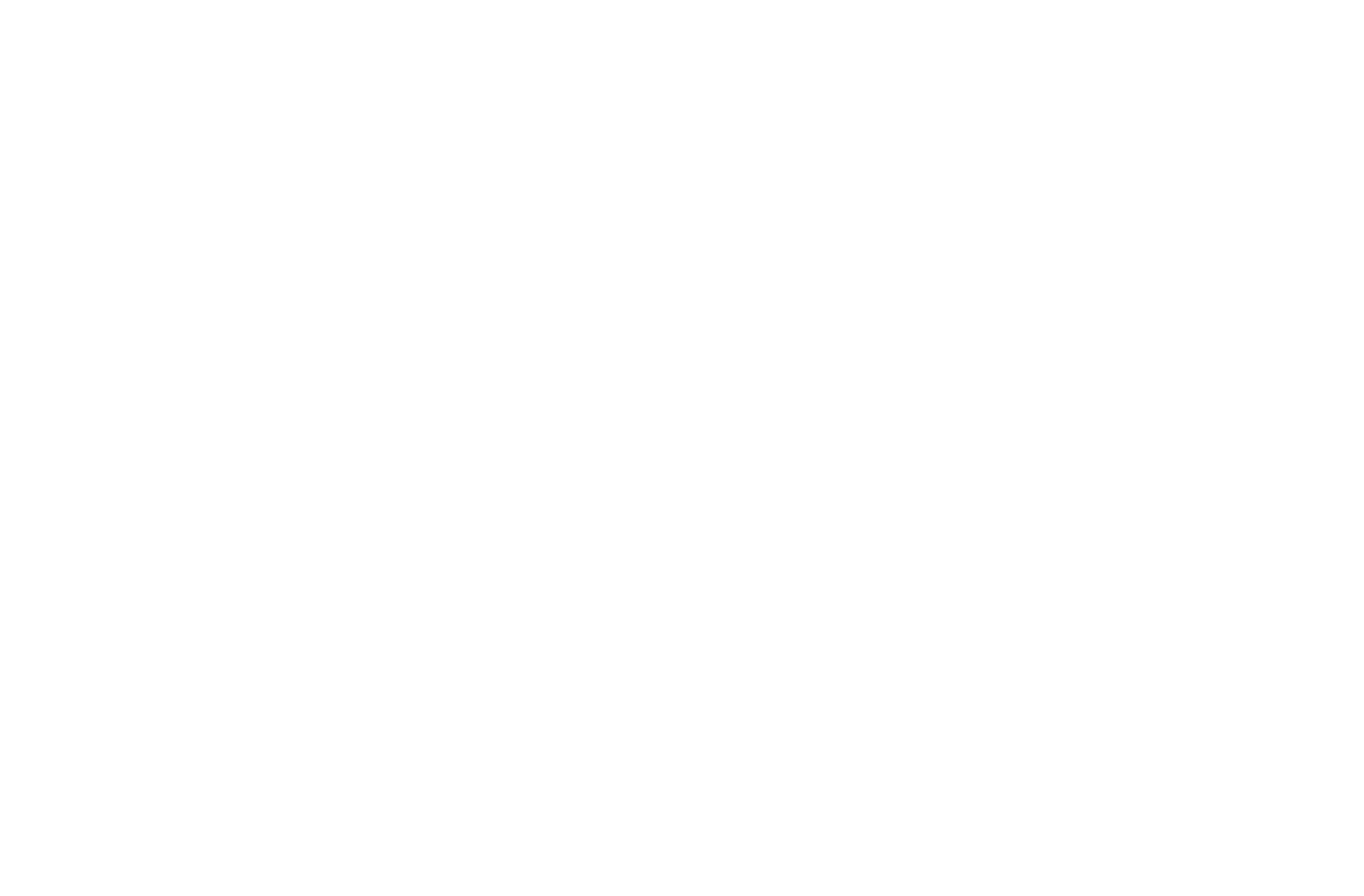 Acoustics Associates Inc.